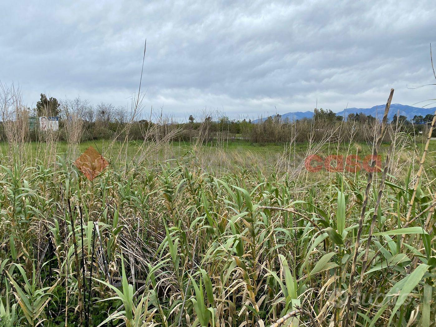 Terreno Agricolo Sessa Aurunca - Vista 3