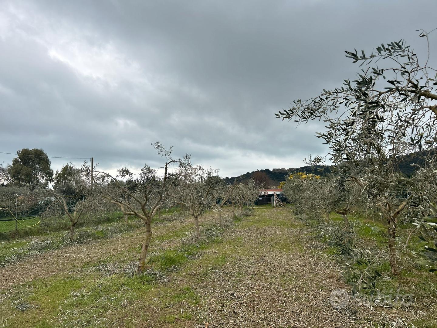 Terreno a Castiglione della Pescaia luce e acqua - Vista 5
