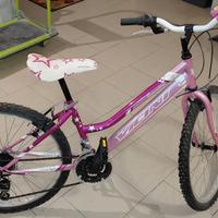 Bici da donna 26 pollici