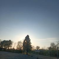 Disponibile valuto proposte con esperienza e refer