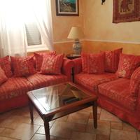 coppia divani in ciniglia 