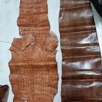 nr 2 pelli coccodrillo 