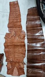 nr 2 pelli coccodrillo 