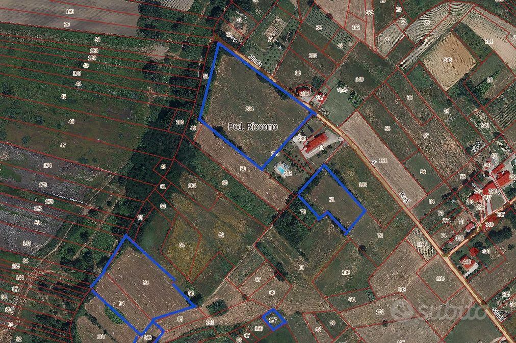 Terreni agricoli /boschivi - Vista 5