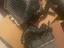 Immagine 2