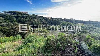 Terreno, Santa Teresa Gallura.