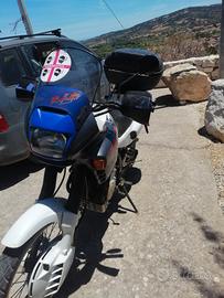 honda dominator 650