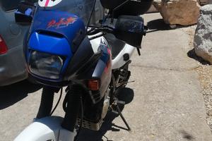 honda dominator 650