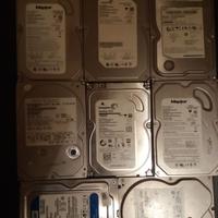 Lotto hdd 3.5 WD Samsung Maxtor Seagate Hitachi