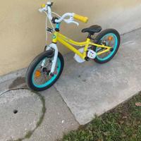 Bicicletta Giant Live