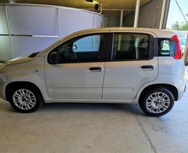FIAT PANDA 1.2 69cv E6 Easy 5 PORTE