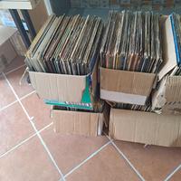 lotto vinili