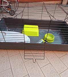 gabbia per coniglio nano 