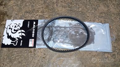 cinghia malossi runner 180 2t 