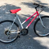 Bicicletta Mountain Bike Grazzini