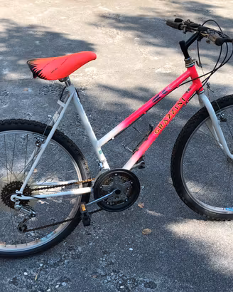 Bicicletta Mountain Bike Grazzini