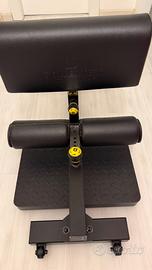 Sissy Squat Powertec