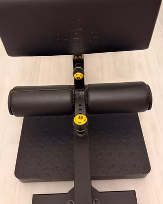 Sissy Squat Powertec