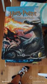 Harry Potter e il calice di fuoco (4)