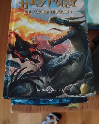 Harry Potter e il calice di fuoco (4)
