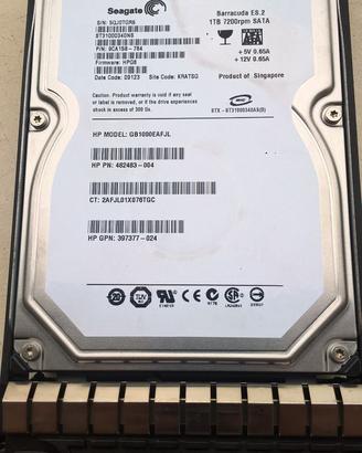 HDD SATA per Server/NAS