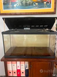 acquario 