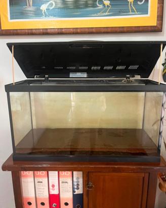acquario 