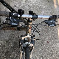 mountain bike usata