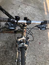 mountain bike usata