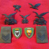 Stemmi originali militari uniforme esercito ita