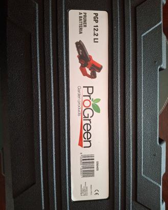 mini motosega a batteria 
