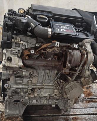 Motore Ford fusion 1,4D sigla F6JA con 87 Mila