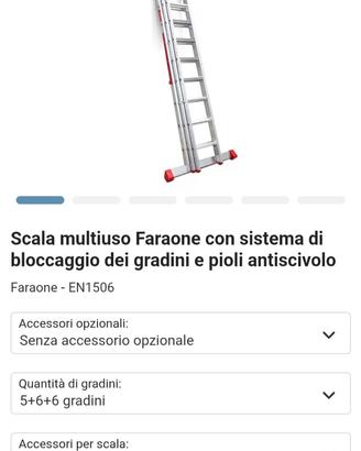 Scala professionale 4,90mt