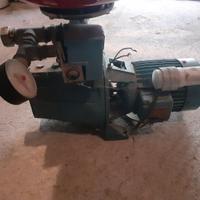 Elettropompa Autoadescante CALPEDA NGM 3 230V