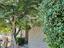 Immagine 12