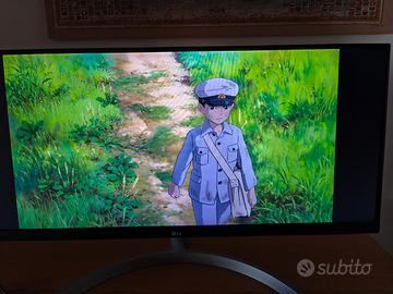 Monitor LG 29" UltraWide 29WN600 - Come Nuovo