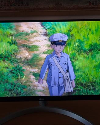 Monitor LG 29" UltraWide 29WN600 - Come Nuovo