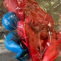 Paratibia, parapiedi e guanti karate