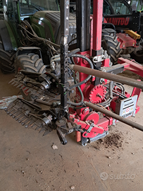 Prepotatrite tanesini