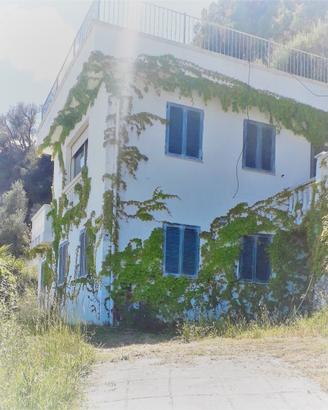 Vieste villa con Giardino vicino mare