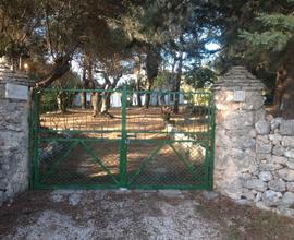 Trullo aurora in contrada noia noci