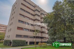 CESANO BOSCONE 02.28.099.565