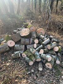 Legna di Faggio da ardere