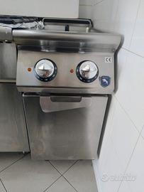 friggitrice professionale 2 cestelli 
