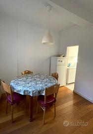 Trilocale in centro storico arredato