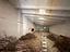 Immagine 21