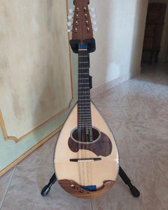 Mandolino Calace Classico B