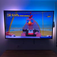 Tv 55 philips ambilight schermo rotto