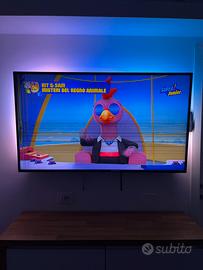 Tv 55 philips ambilight schermo rotto