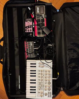 Palmer Pedalbay 60 L
